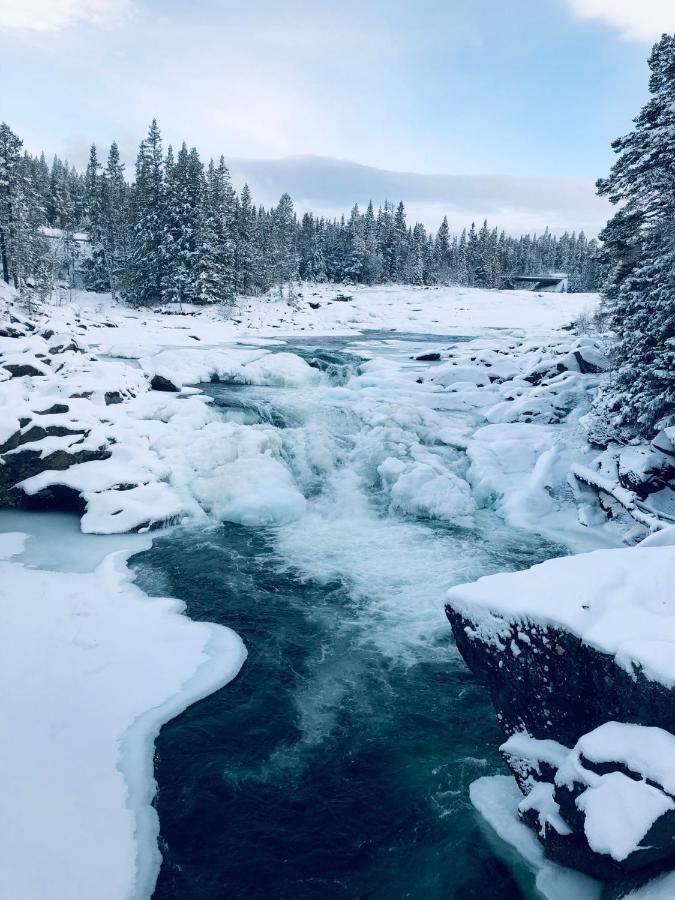 Valagardens Vaerdshus Och Camping Ab Vålådalen Extérieur photo