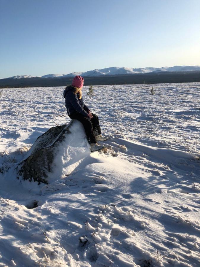 Valagardens Vaerdshus Och Camping Ab Vålådalen Extérieur photo